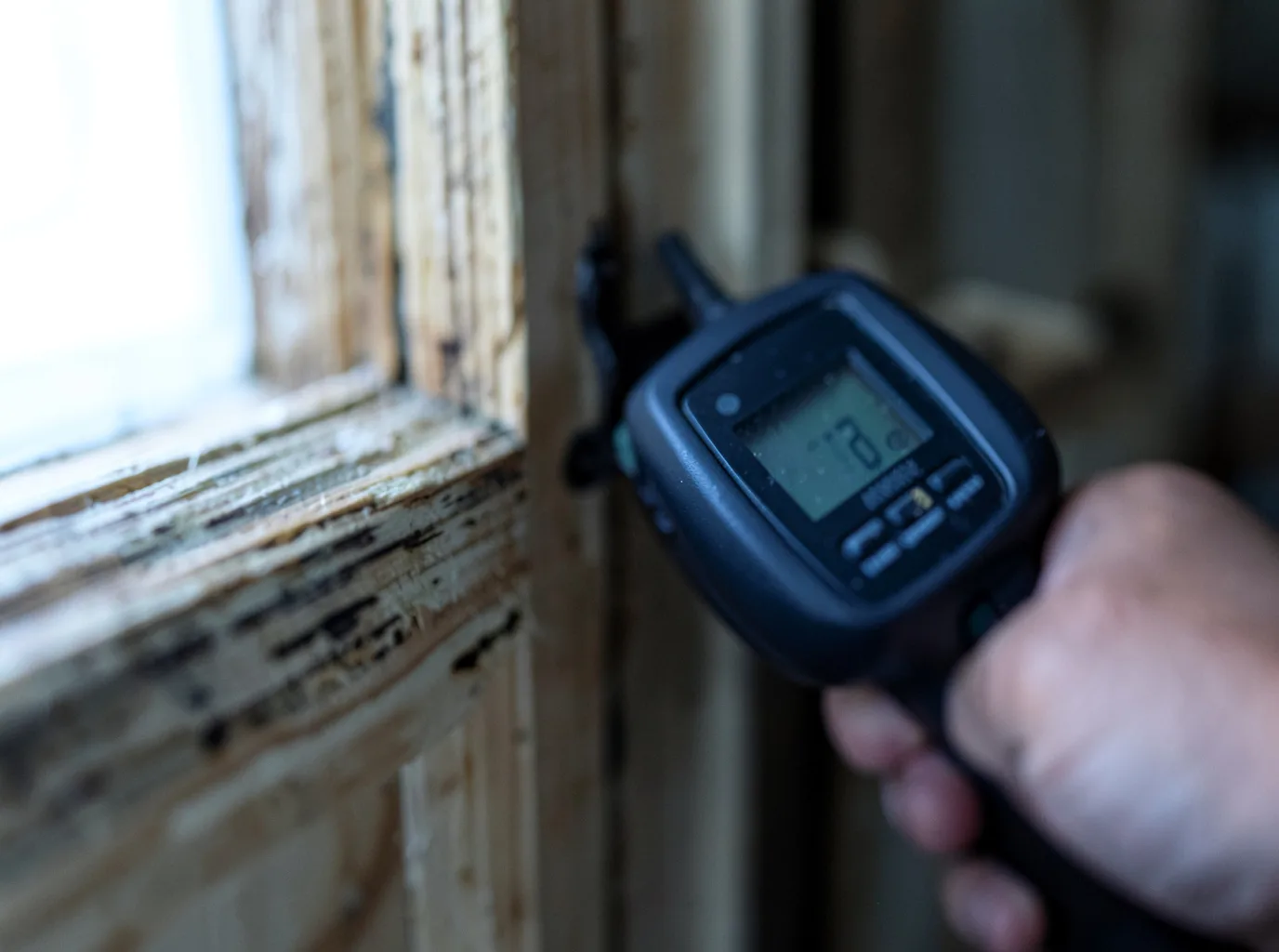Moisture Inspection And Documentation in Cedar Bluffs, NE
